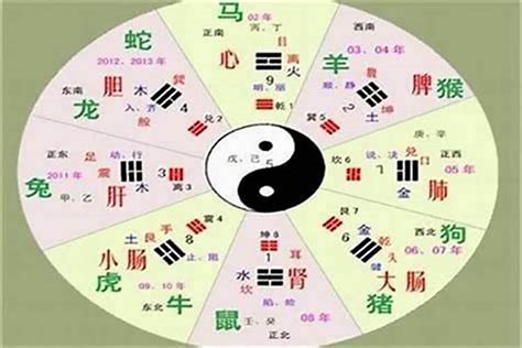 灝五行|淏字的五行属性